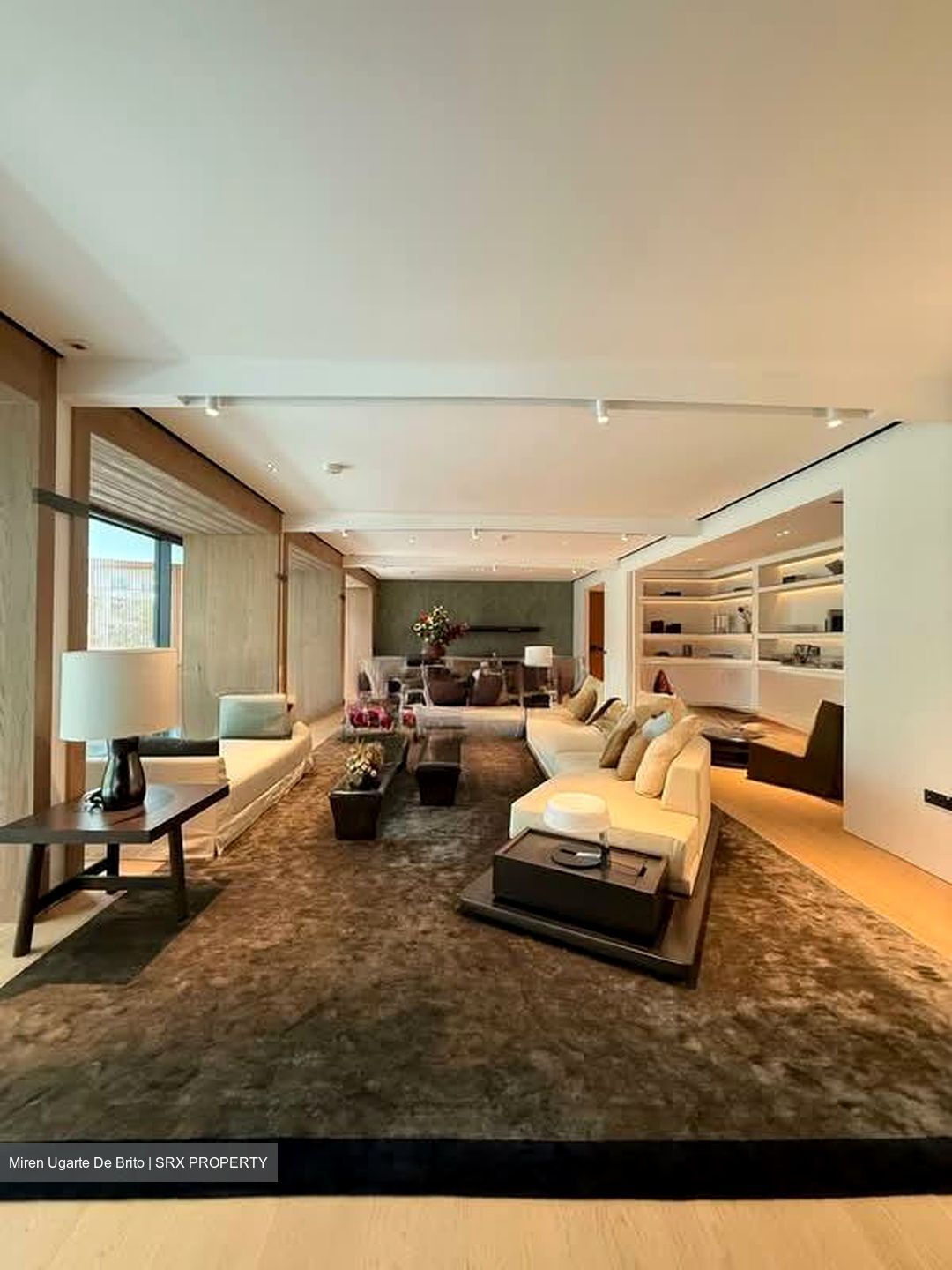 21 Anderson (D10), Condominium #545332901